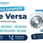 vice versa synonym